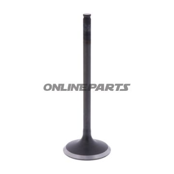 Intake Valve (Orig Spare Part)