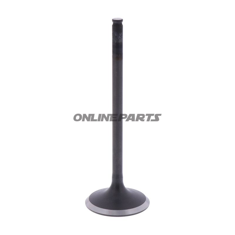 Intake Valve (Orig Spare Part)