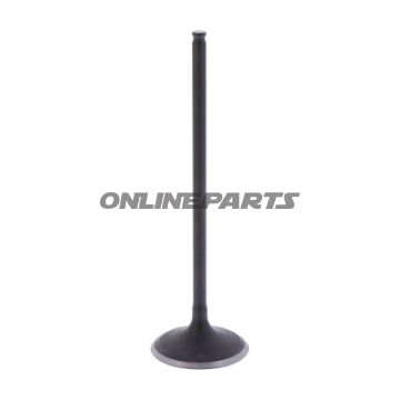 Intake Valve (Orig Spare Part)