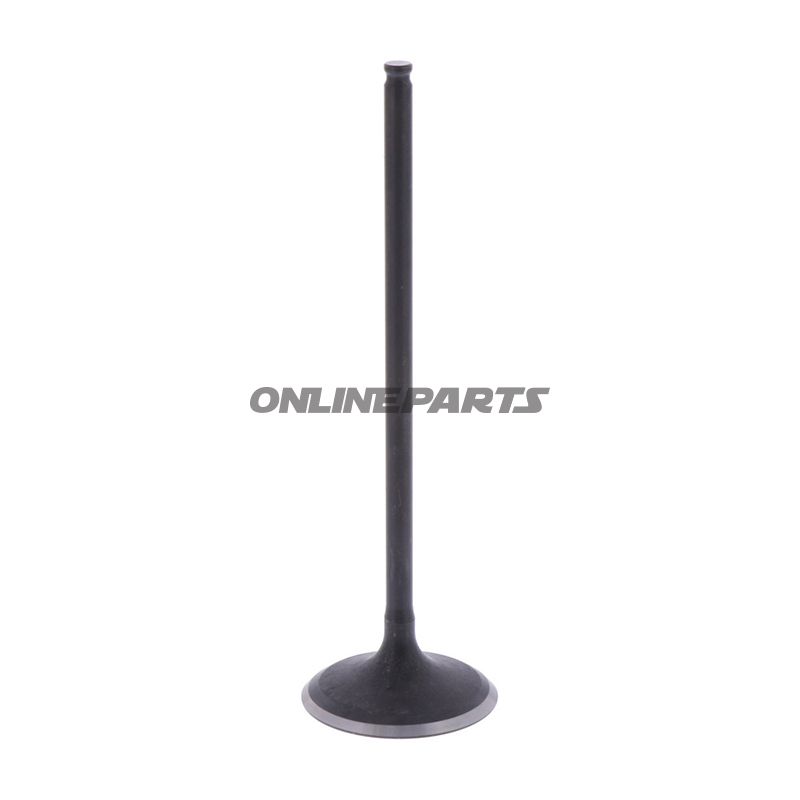 Intake Valve (Orig Spare Part)