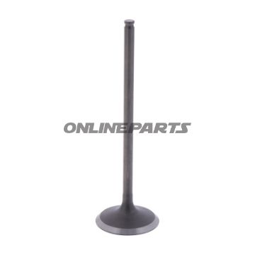 Intake Valve (Orig Spare Part)
