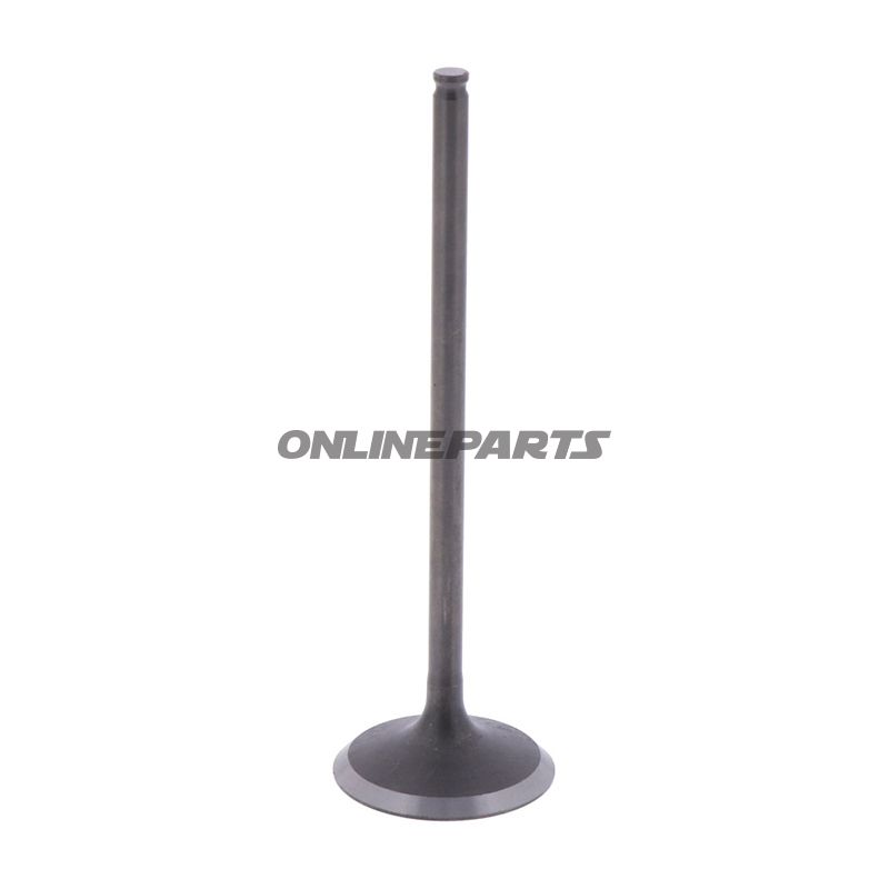 Intake Valve (Orig Spare Part)