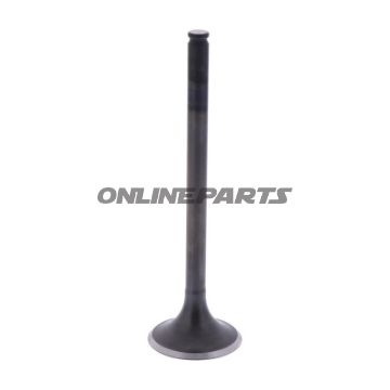 Intake Valve (Orig Spare Part)