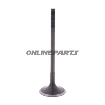 Intake Valve (Orig Spare Part)