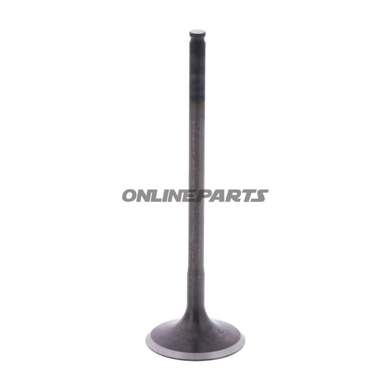 Intake Valve (Orig Spare Part)