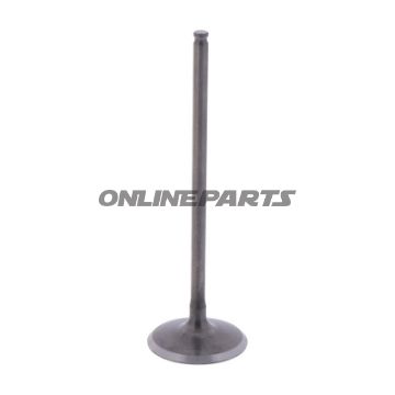 Intake Valve (Orig Spare Part)