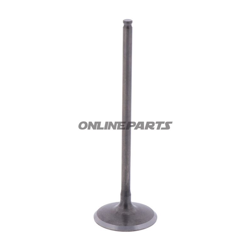 Intake Valve (Orig Spare Part)