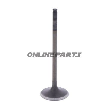 Intake Valve (Orig Spare Part)