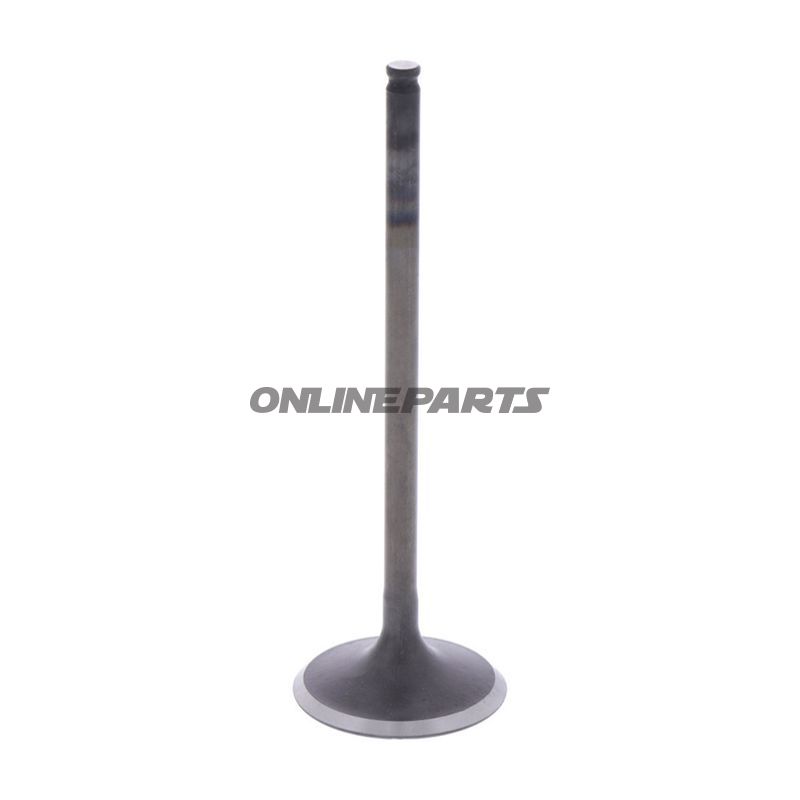 Intake Valve (Orig Spare Part)