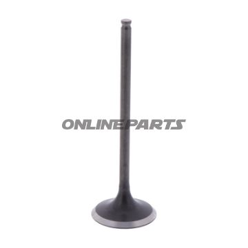 Intake Valve (Orig Spare Part)