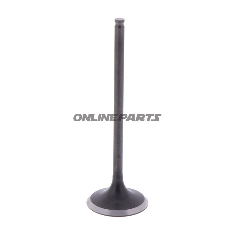 Intake Valve (Orig Spare Part)