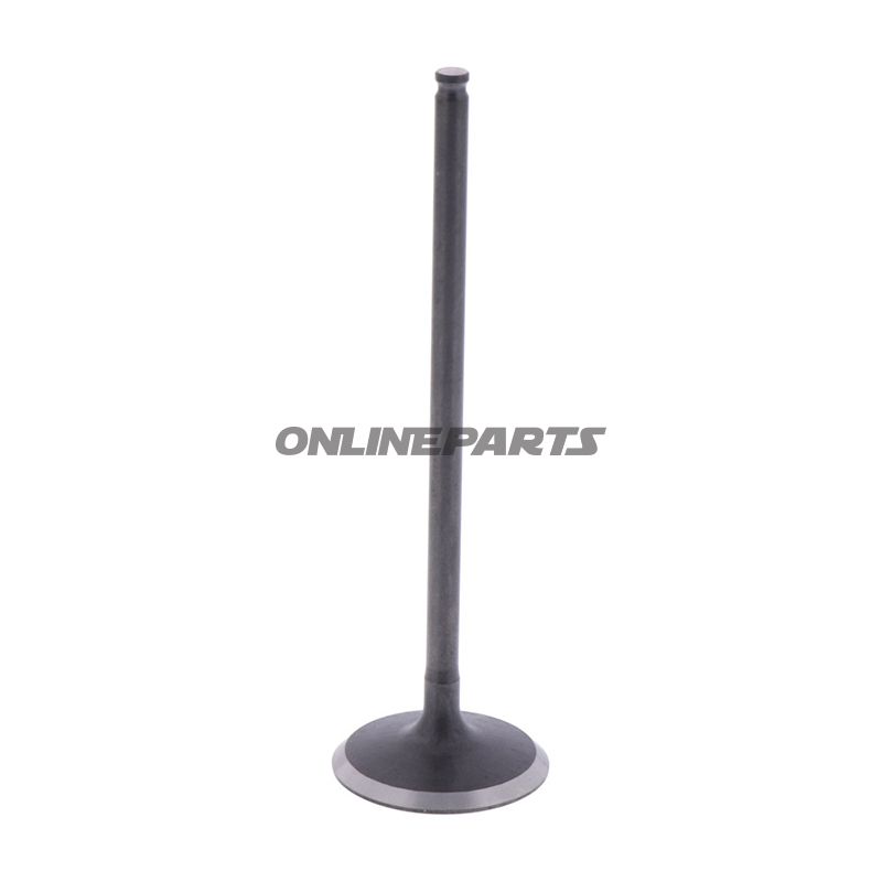 Intake Valve (Orig Spare Part)