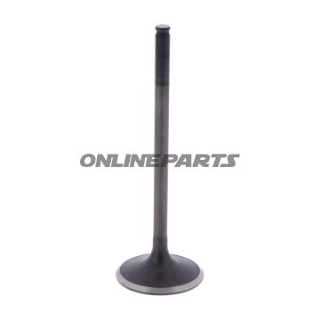 Intake Valve (Orig Spare Part)