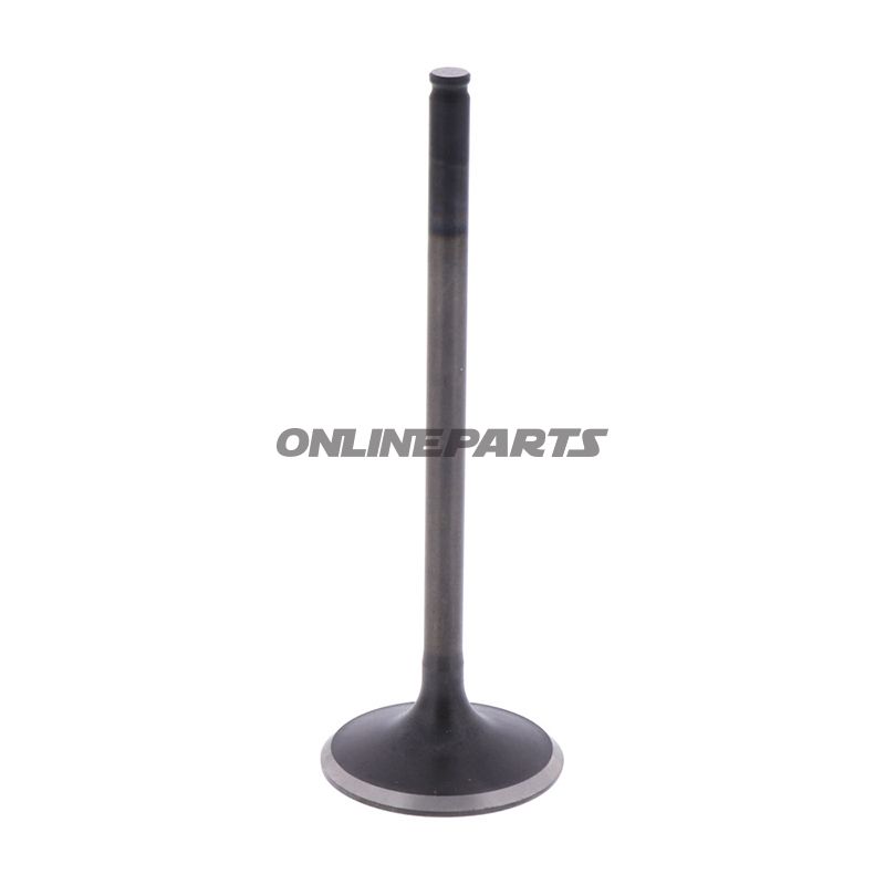Intake Valve (Orig Spare Part)
