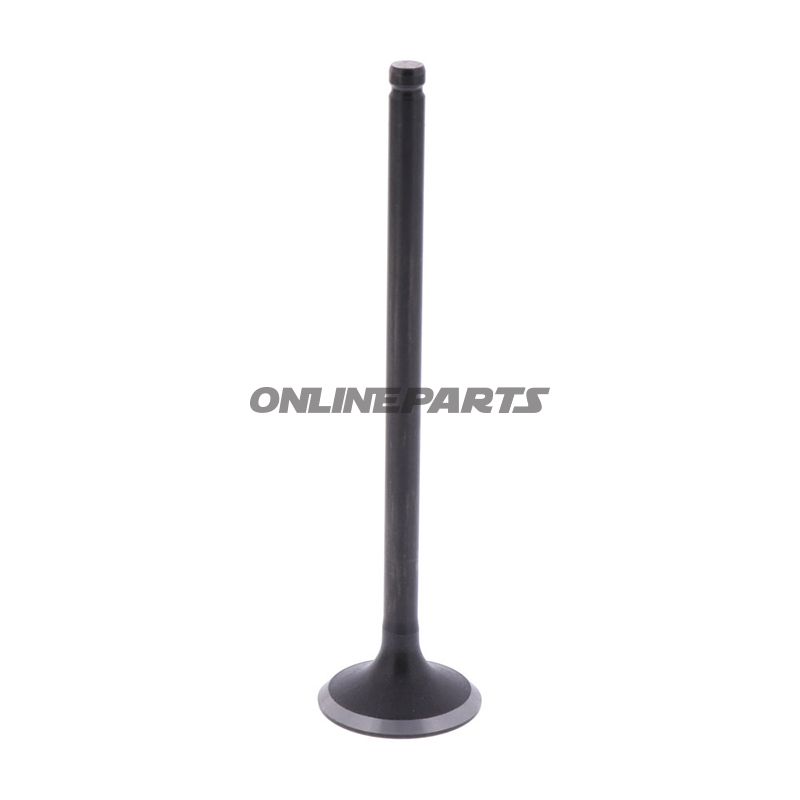 Intake Valve (Orig Spare Part)