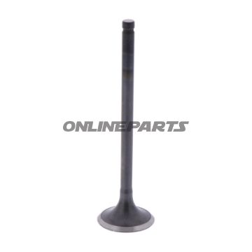 Intake Valve (Orig Spare Part)
