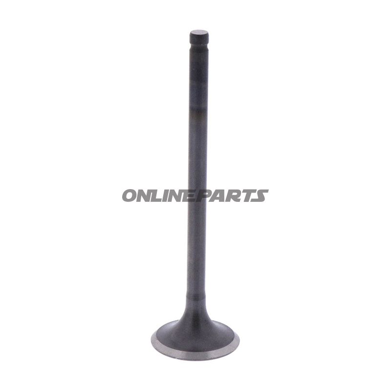 Intake Valve (Orig Spare Part)