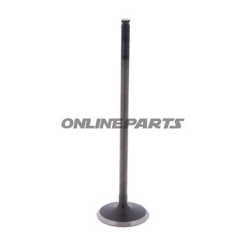 Intake Valve (Orig Spare Part)
