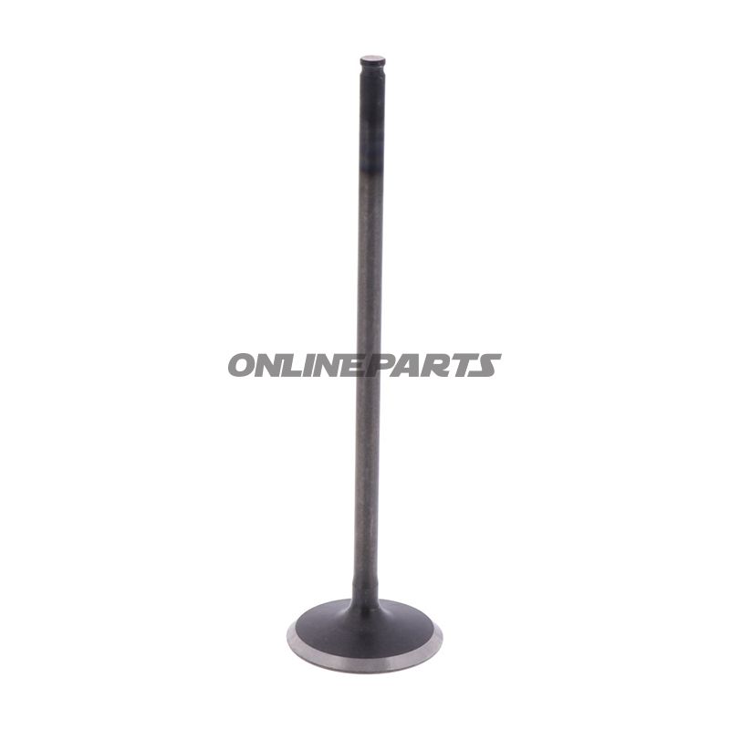 Intake Valve (Orig Spare Part)