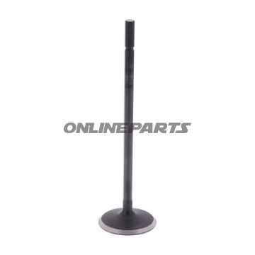 Intake Valve (Orig Spare Part)