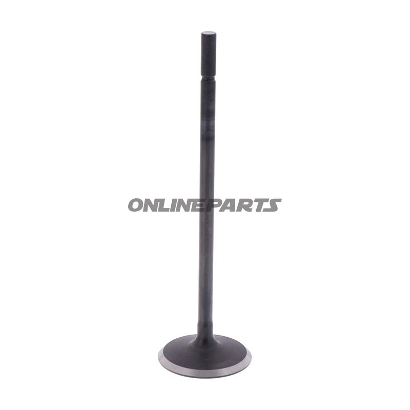 Intake Valve (Orig Spare Part)
