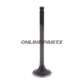 Intake Valve (Orig Spare Part)