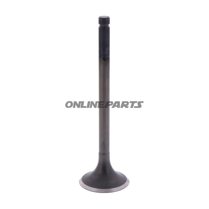 Intake Valve (Orig Spare Part)