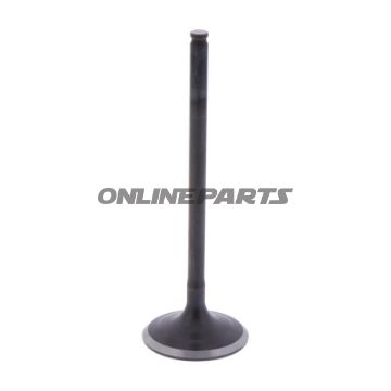 Intake Valve (Orig Spare Part)