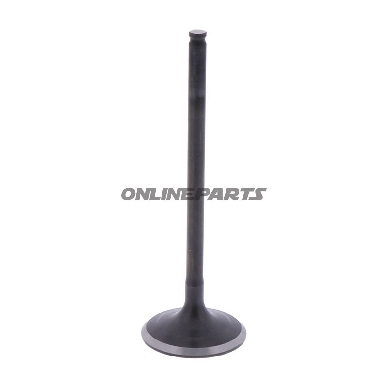 Intake Valve (Orig Spare Part)