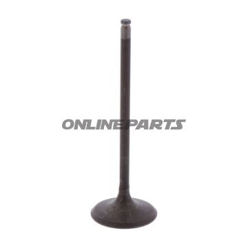 Intake Valve (Orig Spare Part)