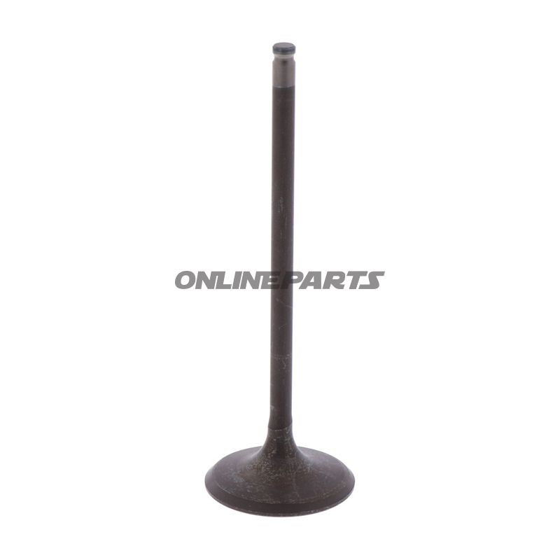 Intake Valve (Orig Spare Part)