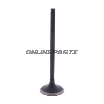 Outlet Valve (Orig Spare Part)