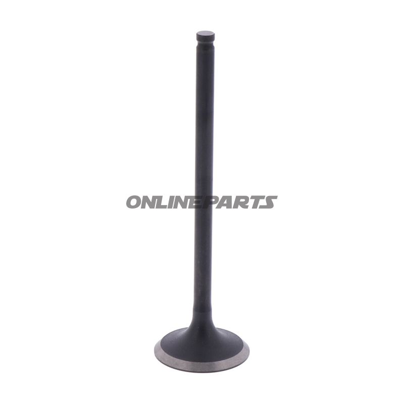 Outlet Valve (Orig Spare Part)