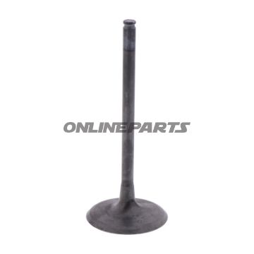 Intake Valve (Orig Spare Part)