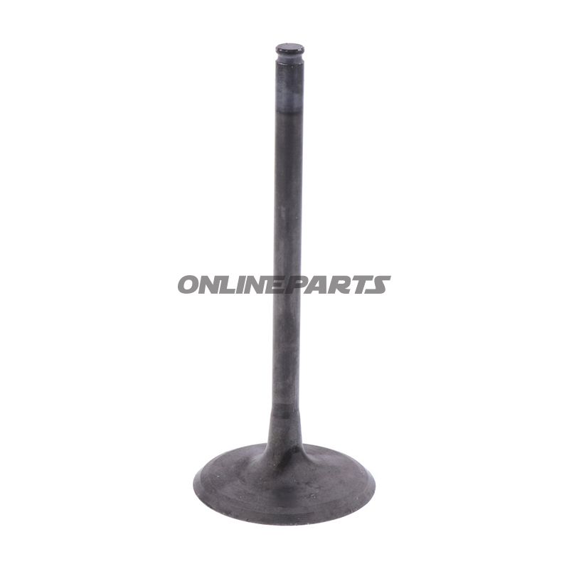 Intake Valve (Orig Spare Part)