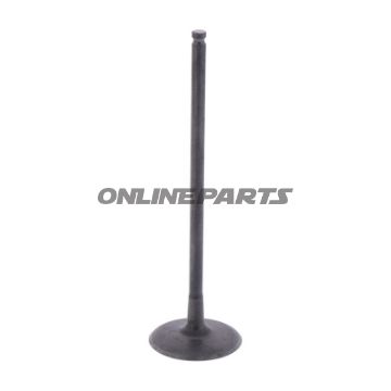 Intake Valve (Orig Spare Part)