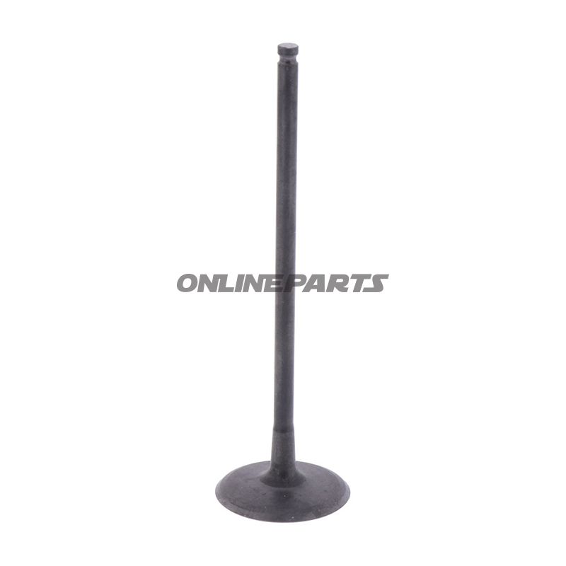Intake Valve (Orig Spare Part)