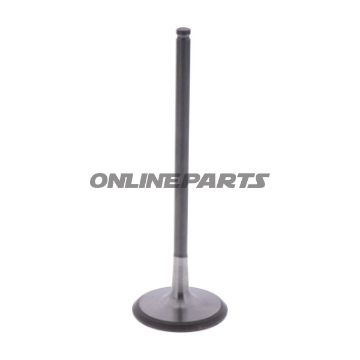 Intake Valve (Orig Spare Part)