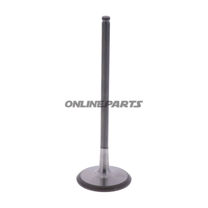 Intake Valve (Orig Spare Part)