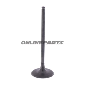 Intake Valve (Orig Spare Part)