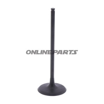 Intake Valve (Orig Spare Part)