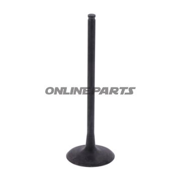 Intake Valve (Orig Spare Part)
