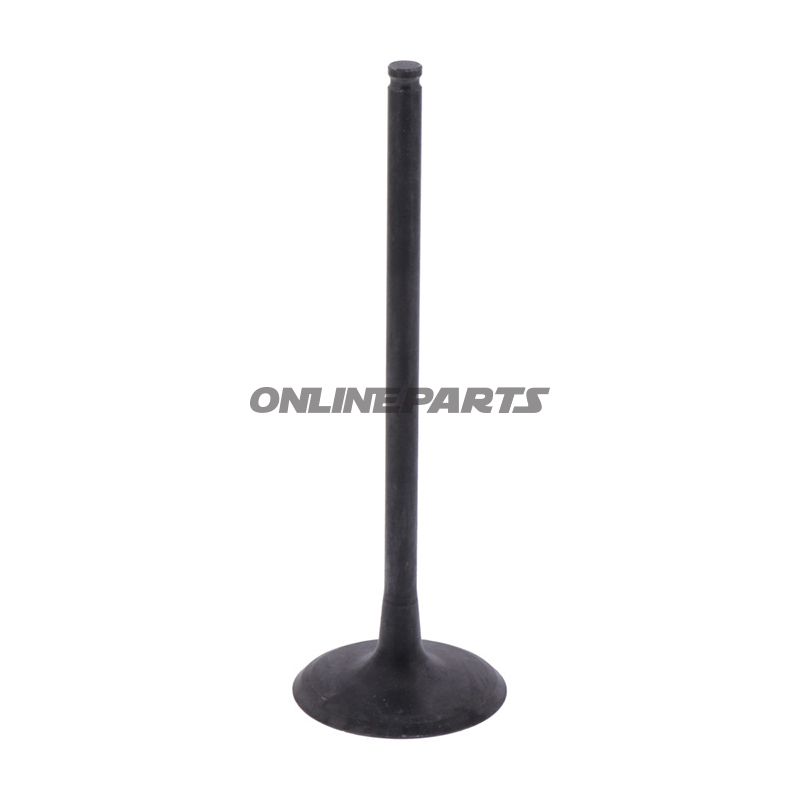 Intake Valve (Orig Spare Part)