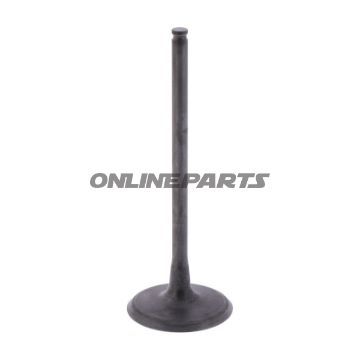 Intake Valve (Orig Spare Part)