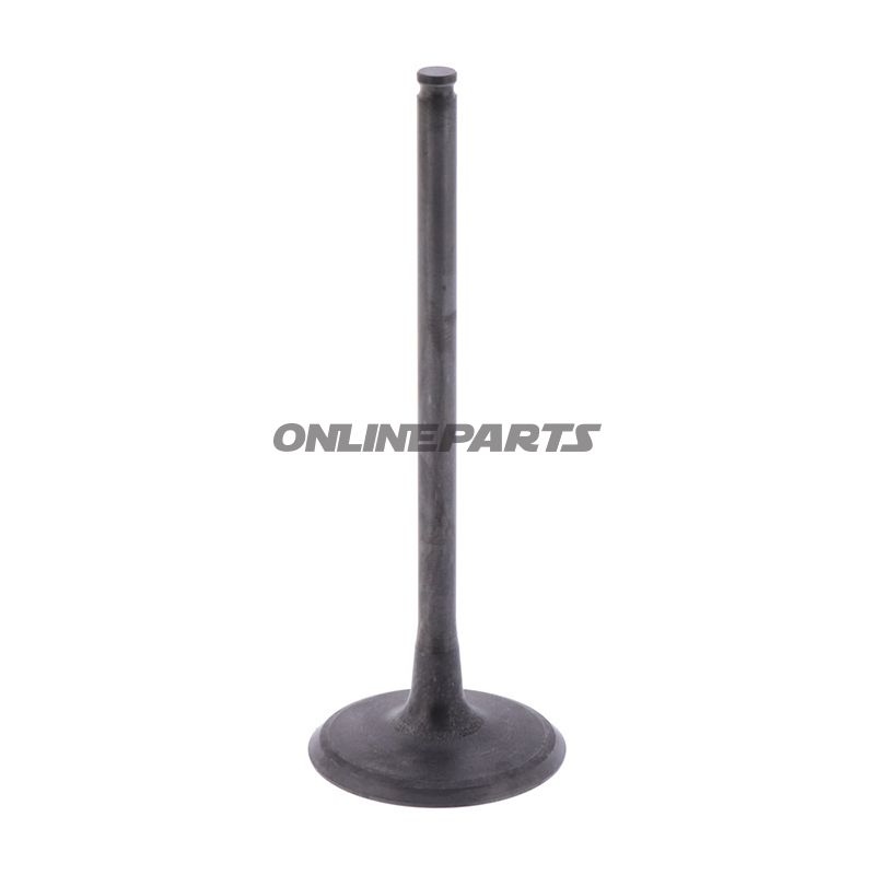Intake Valve (Orig Spare Part)