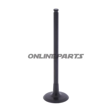 Intake Valve (Orig Spare Part)