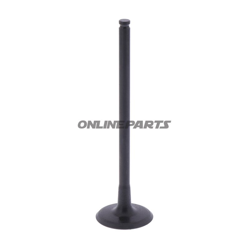 Intake Valve (Orig Spare Part)