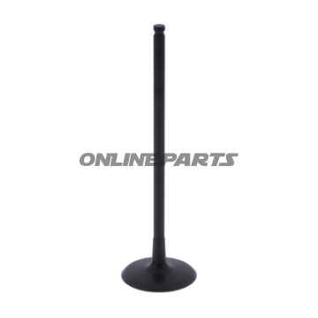 Intake Valve (Orig Spare Part)