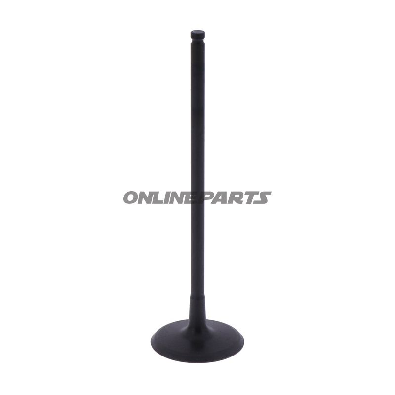 Intake Valve (Orig Spare Part)