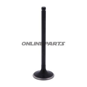 Intake Valve (Orig Spare Part)
